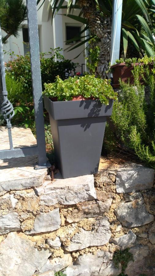 Apartmani Darko Kornić Kültér fotó